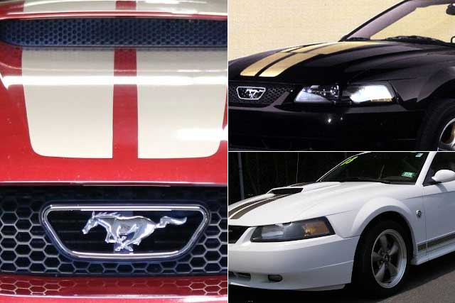 2004 Mustang 40th Anniversary Edition, colores